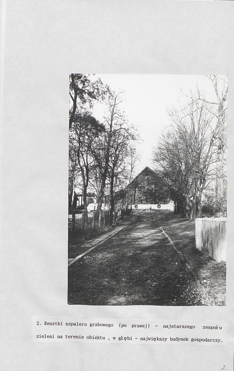 Ewidencja parkowa, skan nr 38