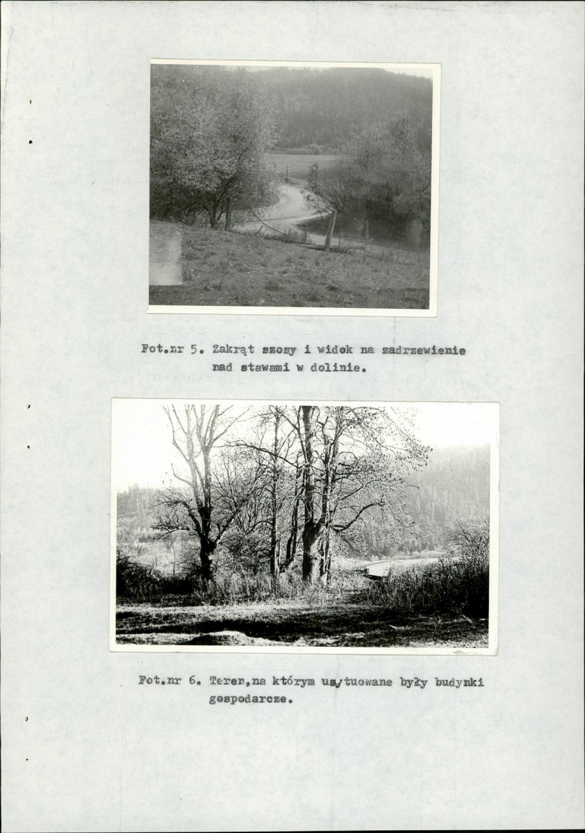 Ewidencja parkowa, skan nr 23