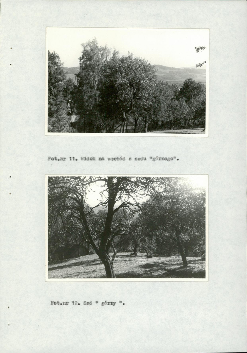 Ewidencja parkowa, skan nr 33