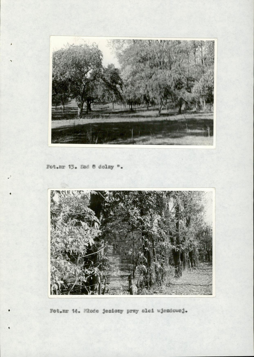 Ewidencja parkowa, skan nr 34