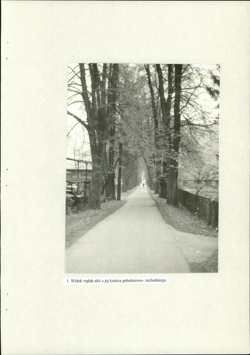 EP - Ewidencja parkowa, skan nr 23