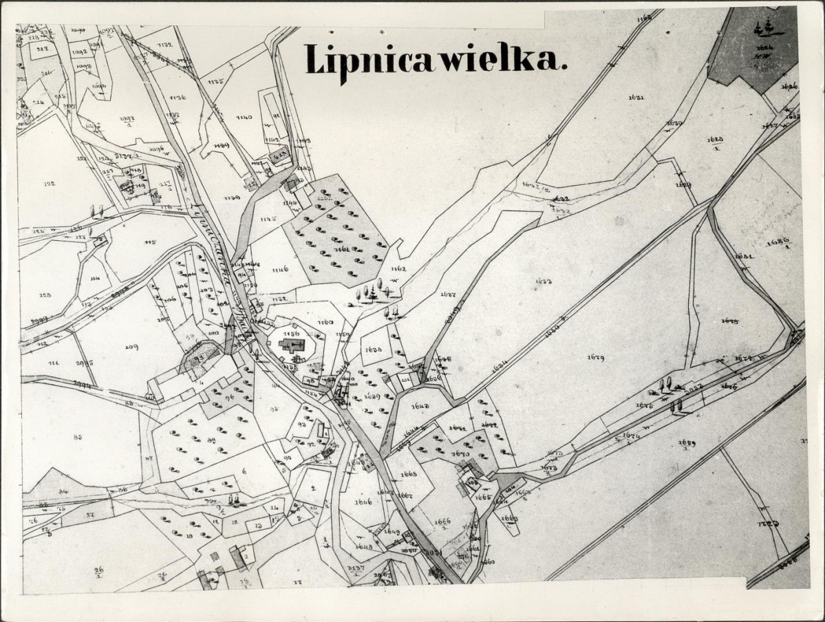 Ewidencja parkowa, skan nr 25