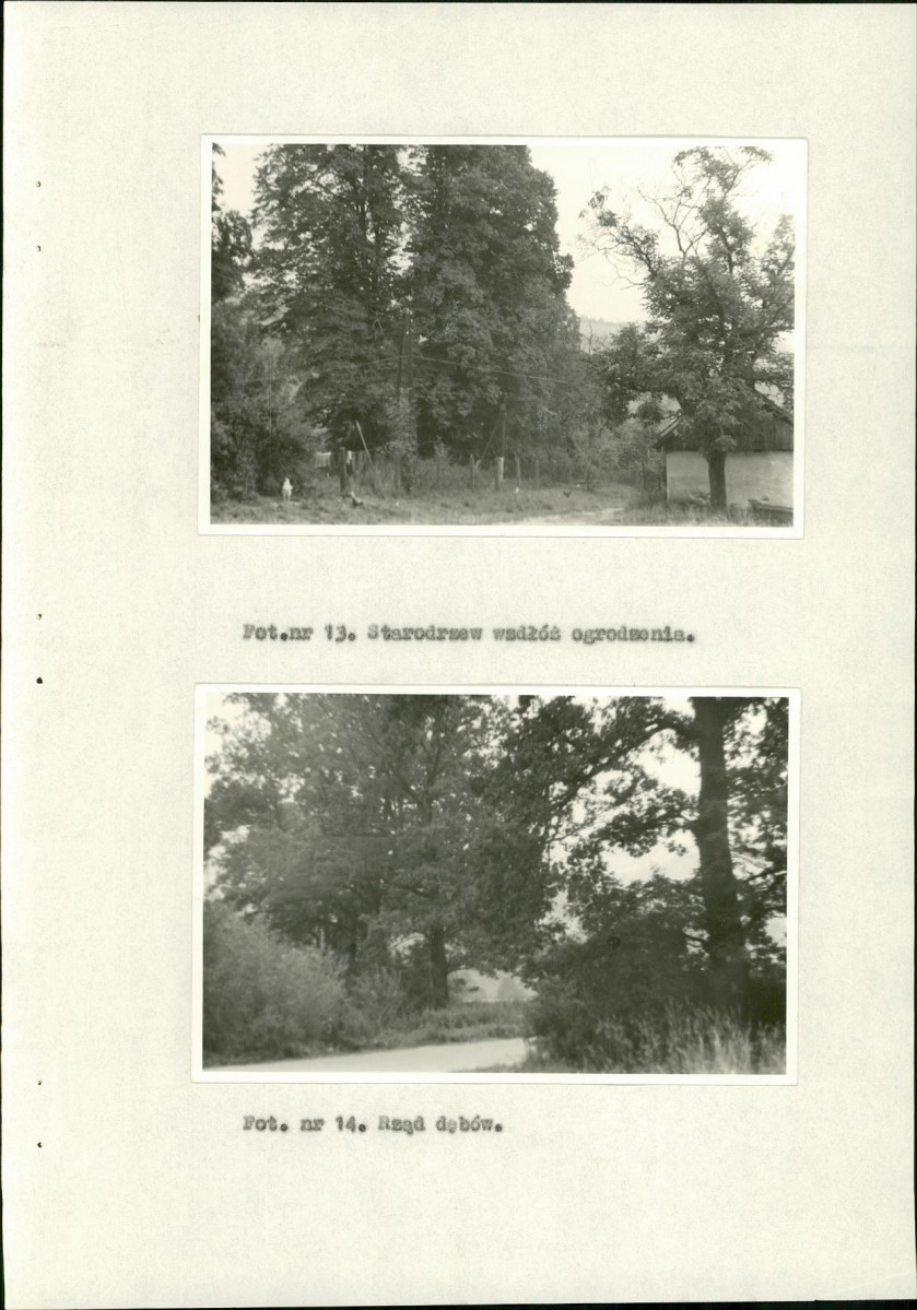 Ewidencja parkowa, skan nr 34