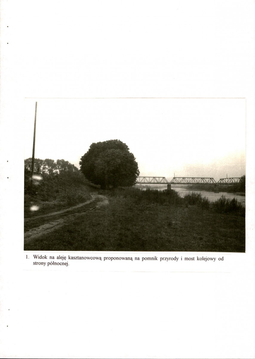 EP - Ewidencja parkowa, skan nr 43