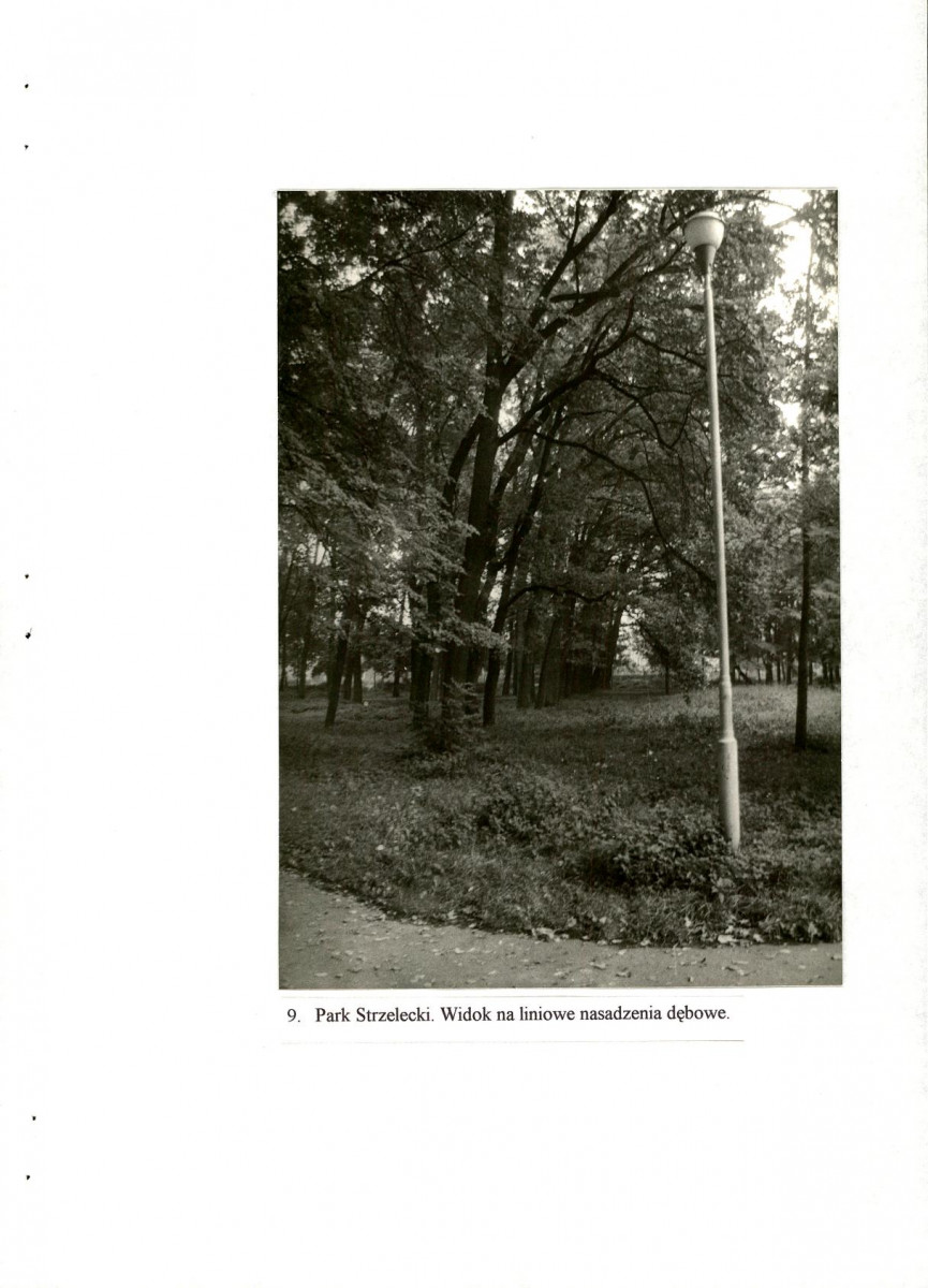 EP - Ewidencja parkowa, skan nr 51