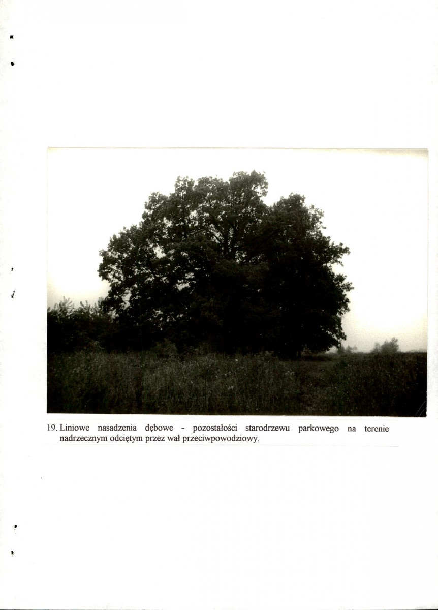 EP - Ewidencja parkowa, skan nr 61