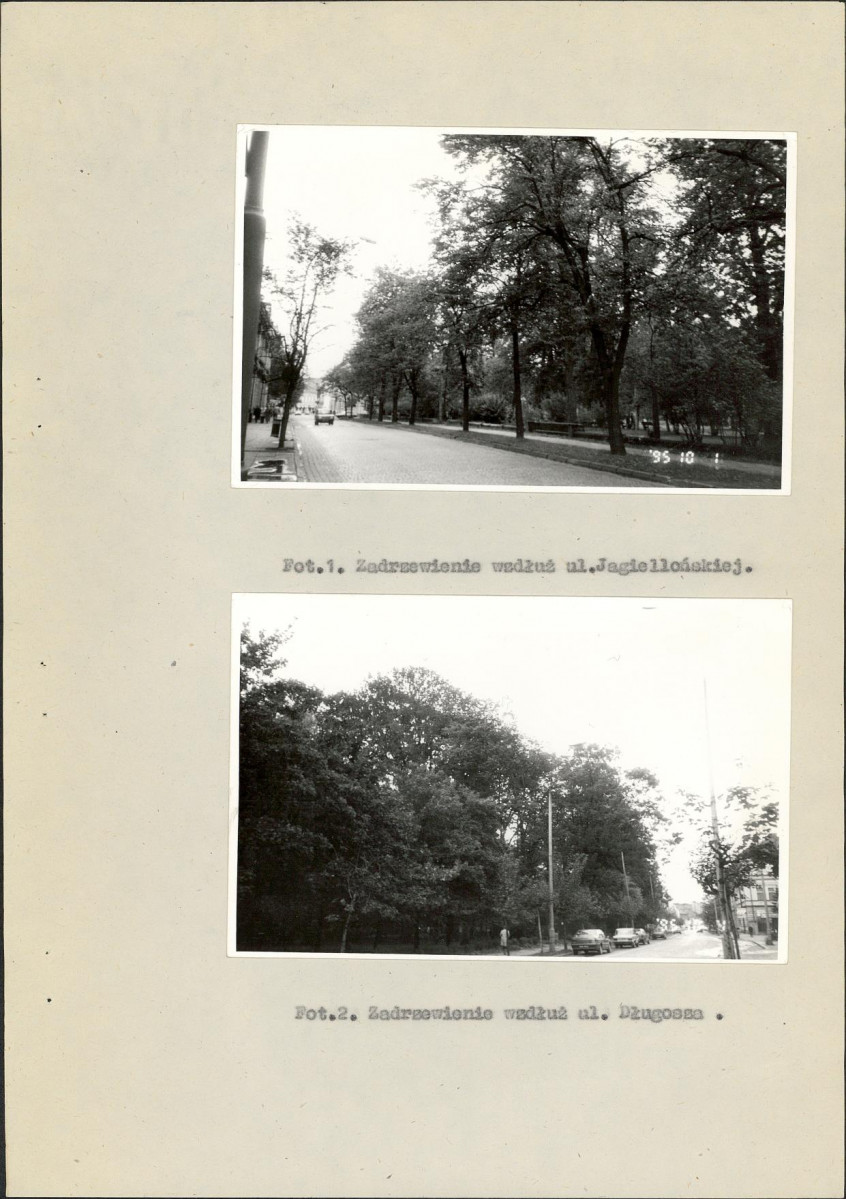 EP - Ewidencja parkowa, skan nr 28