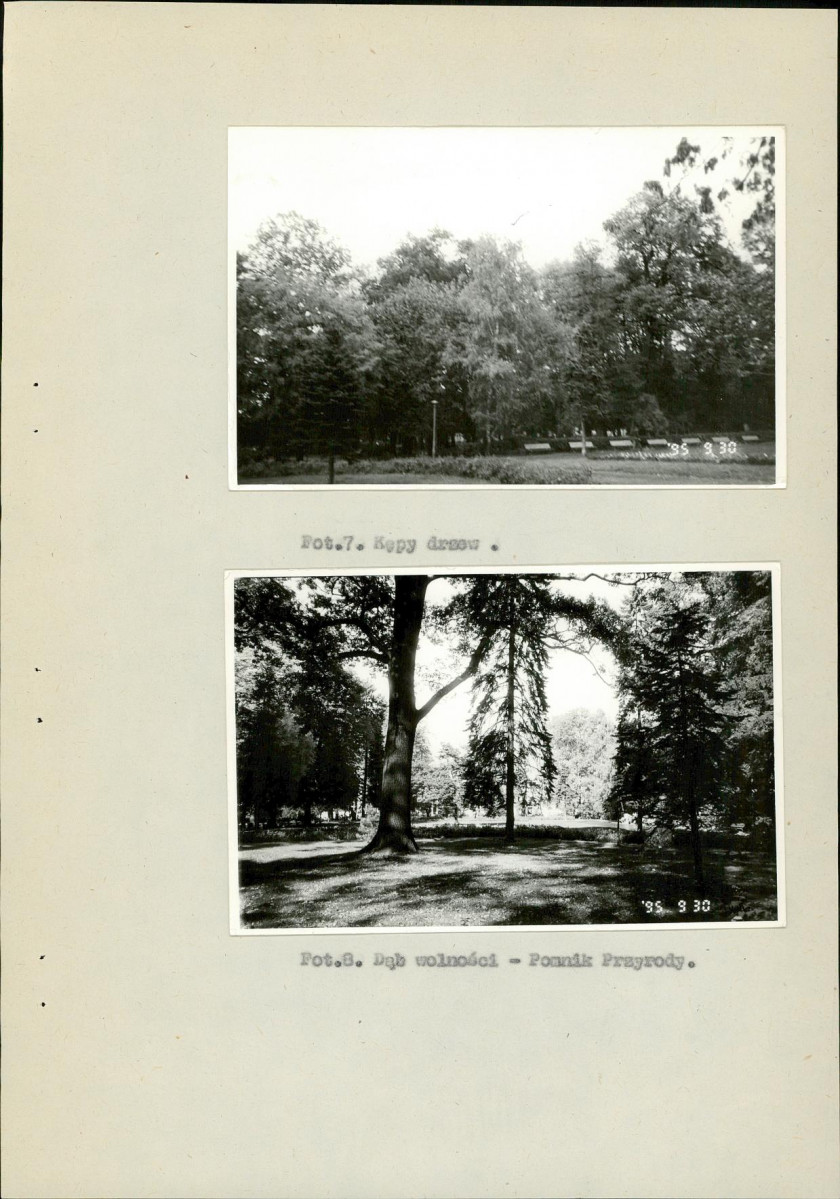 EP - Ewidencja parkowa, skan nr 31