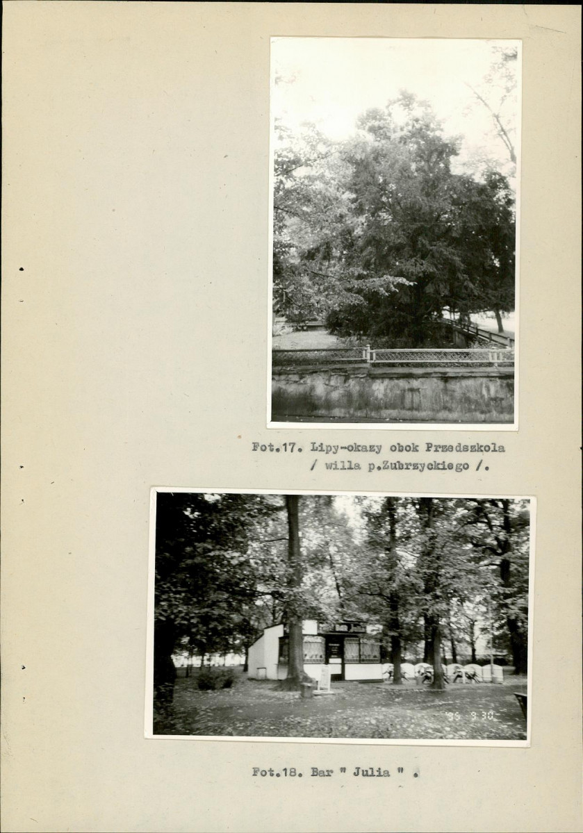 EP - Ewidencja parkowa, skan nr 36