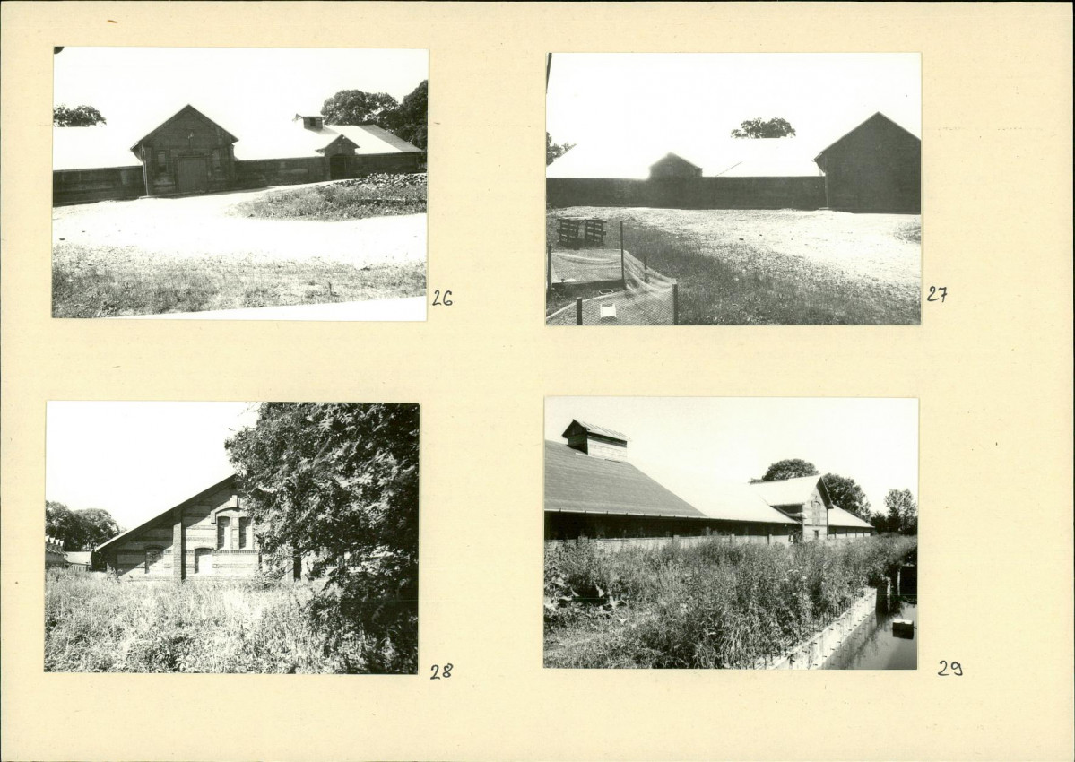 Karta biała, skan nr 16