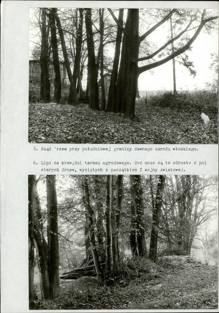 Ewidencja parkowa, skan nr 60