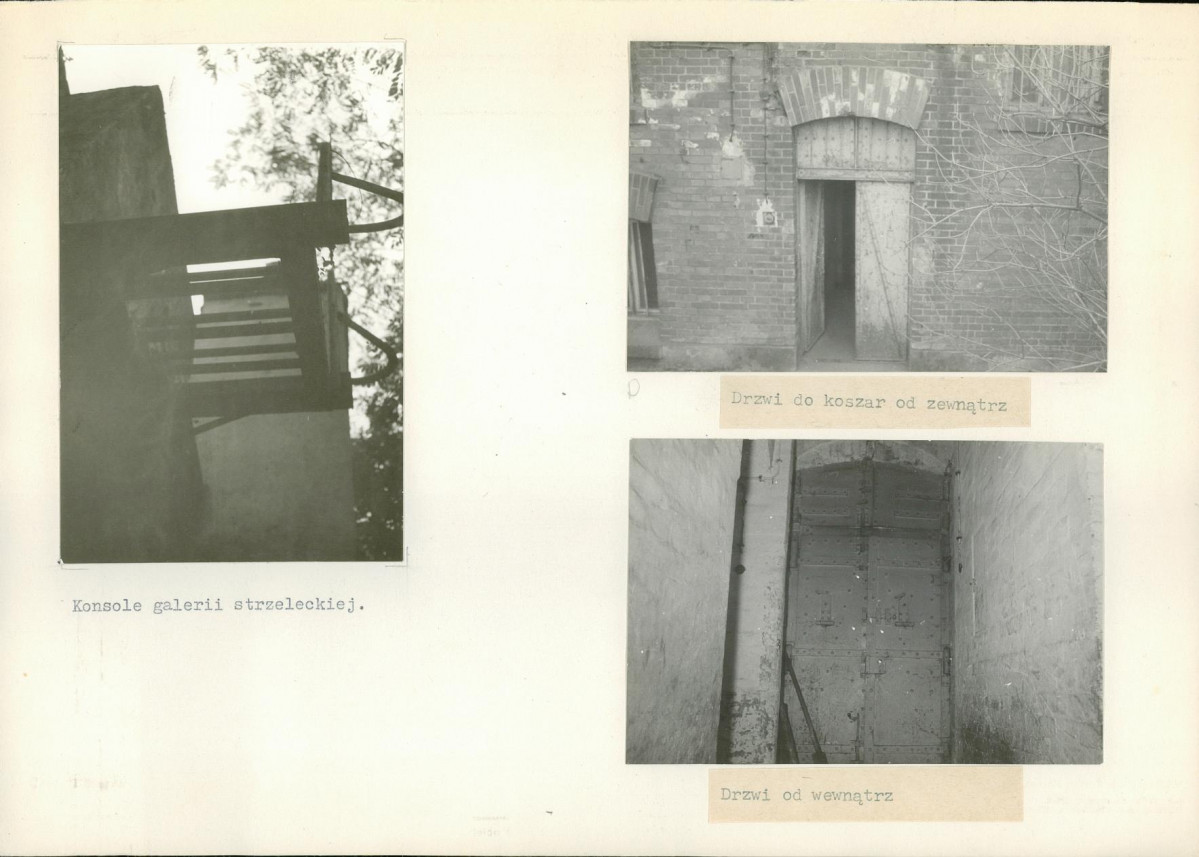 Karta biała, skan nr 14