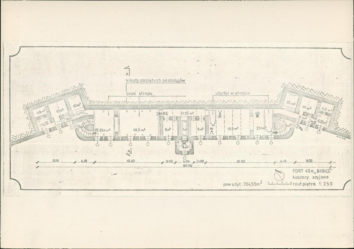 Karta biała, skan nr 8