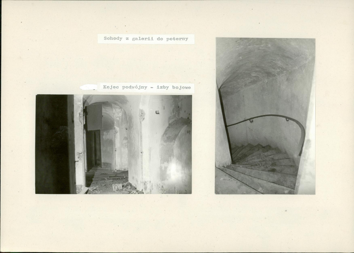 Karta biała, skan nr 6