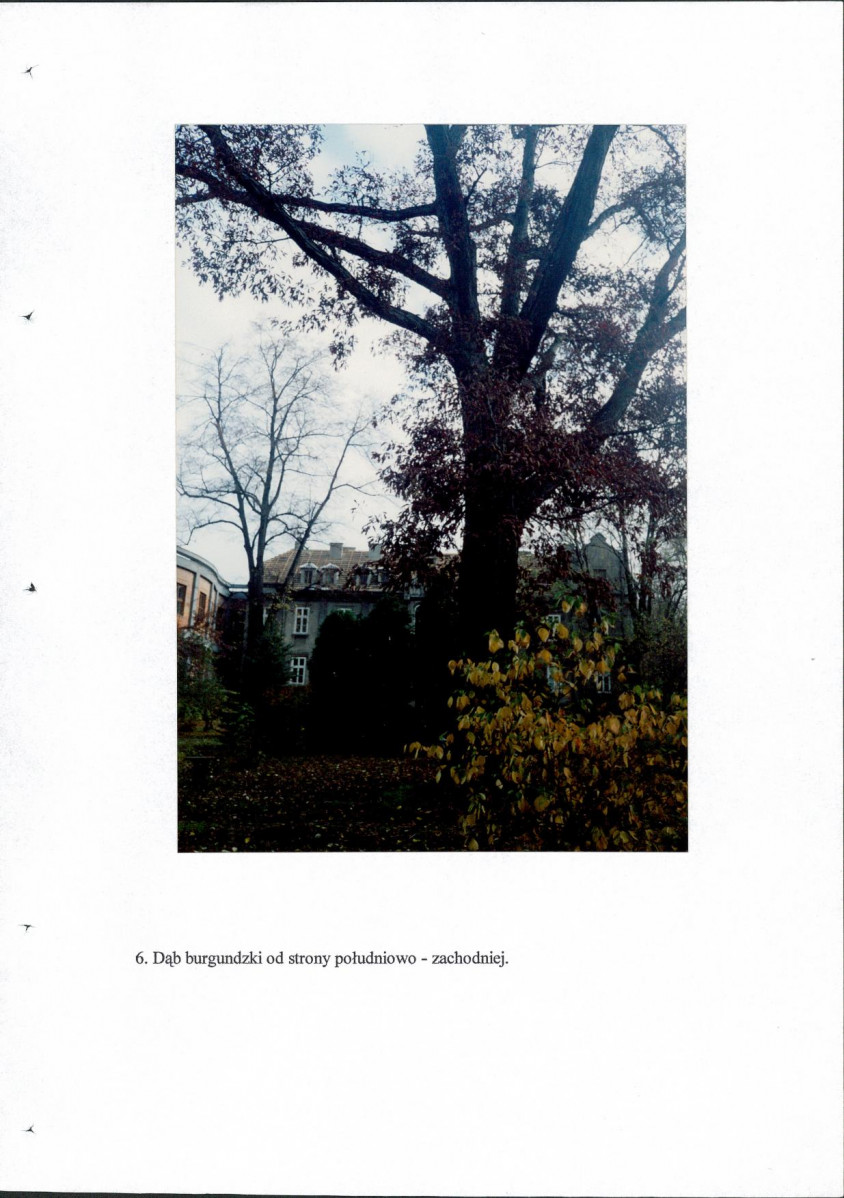 Ewidencja parkowa, skan nr 37