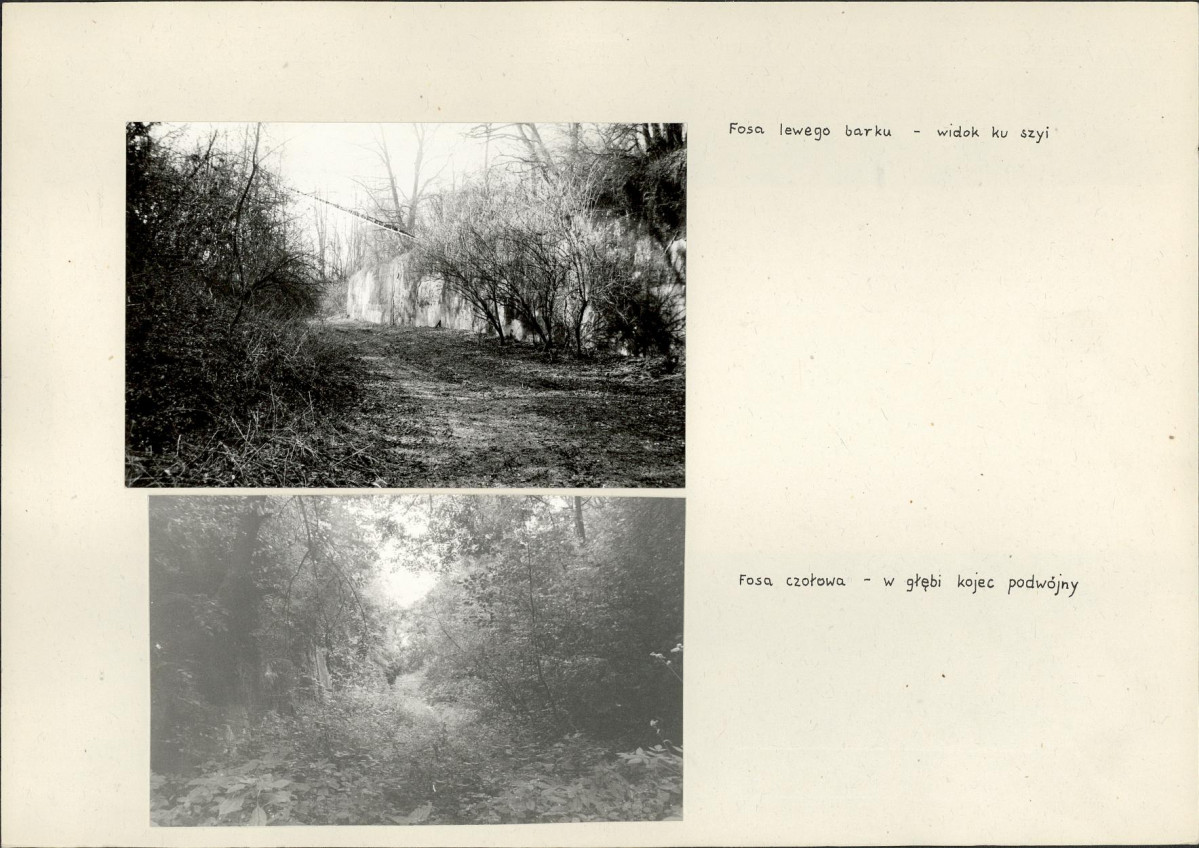 Karta biała, skan nr 10