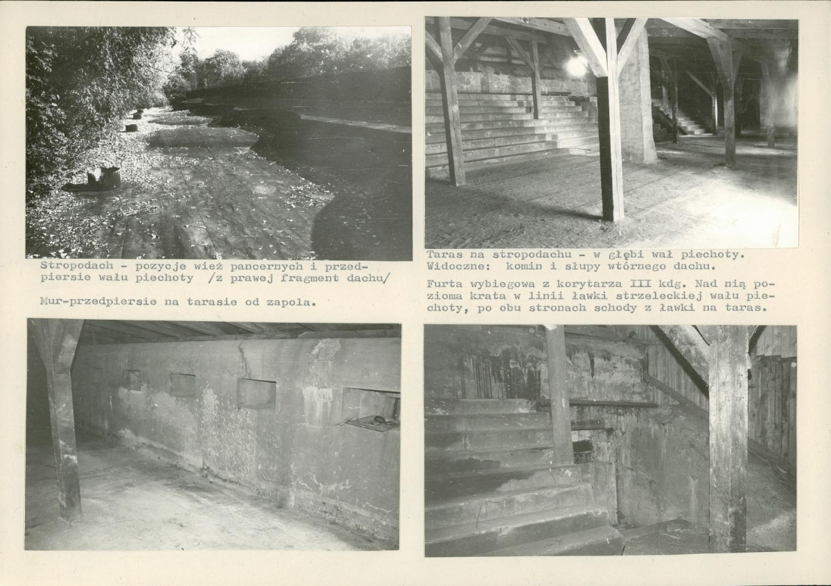 Karta biała, skan nr 10