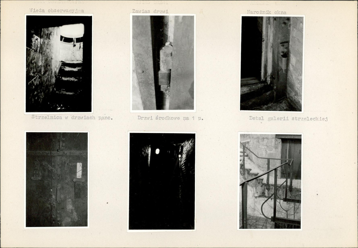 Karta biała, skan nr 23