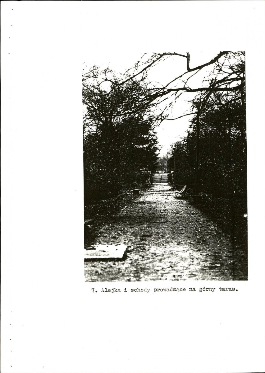 Ewidencja parkowa, skan nr 52