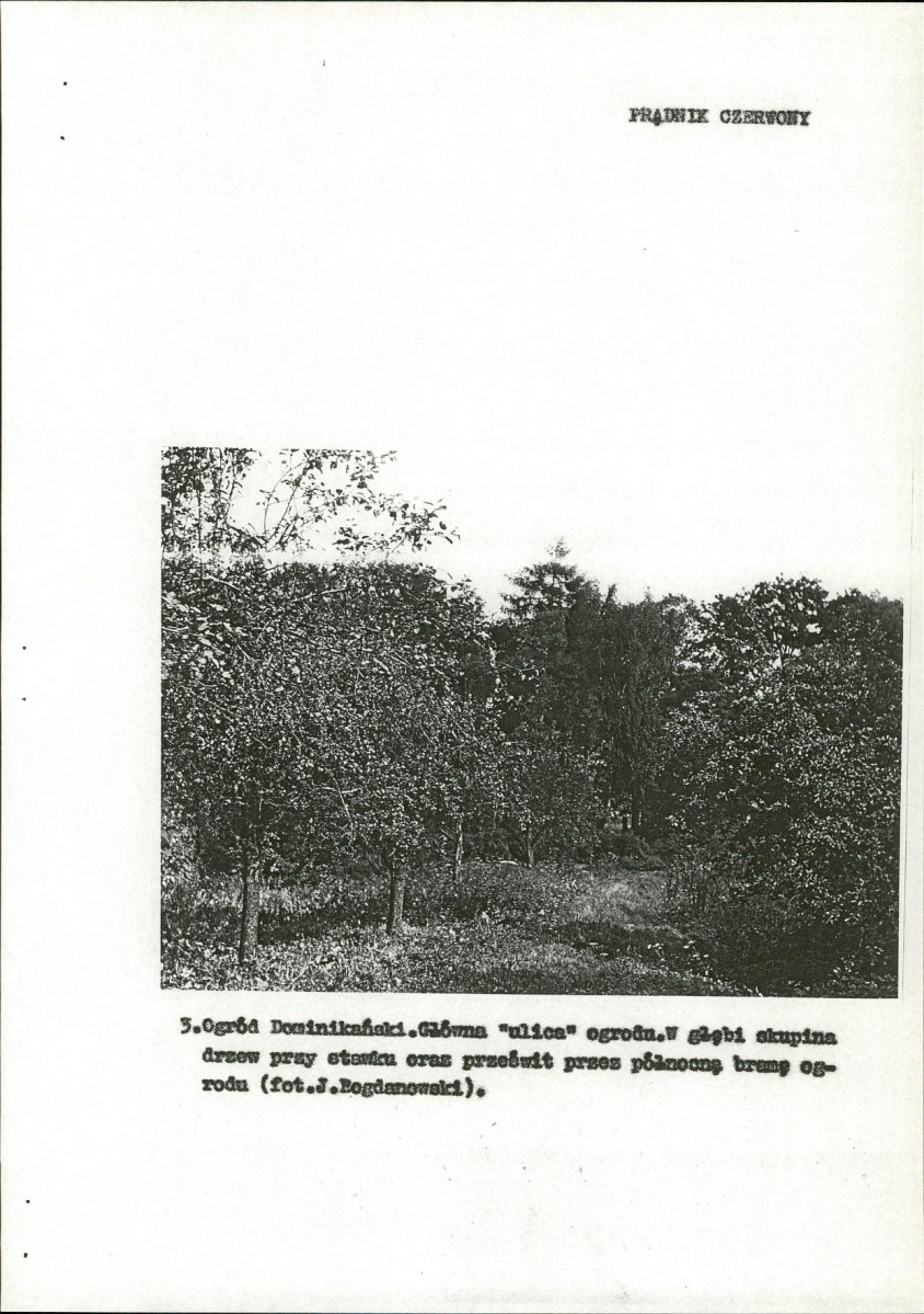 Ewidencja parkowa, skan nr 25
