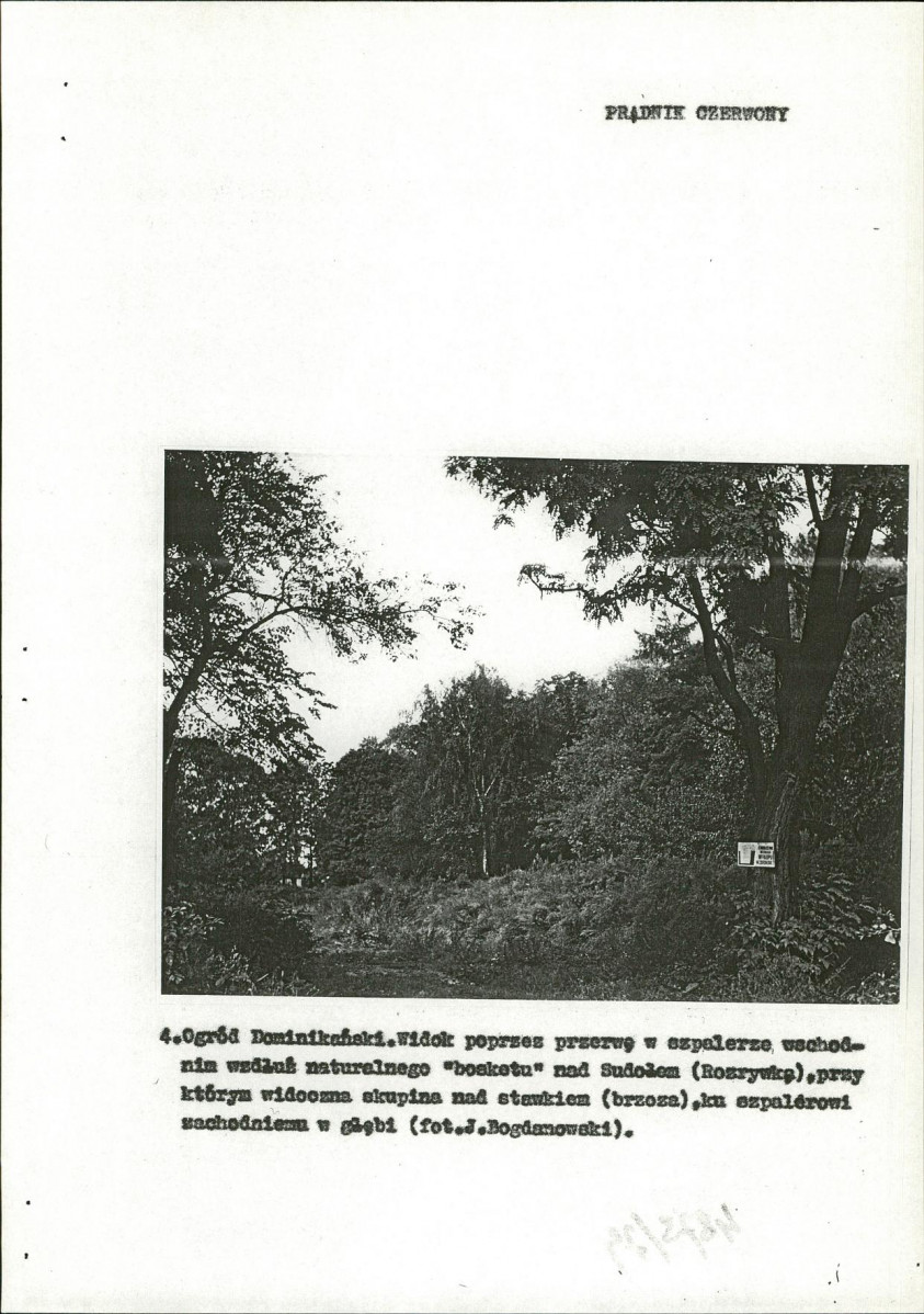 Ewidencja parkowa, skan nr 26