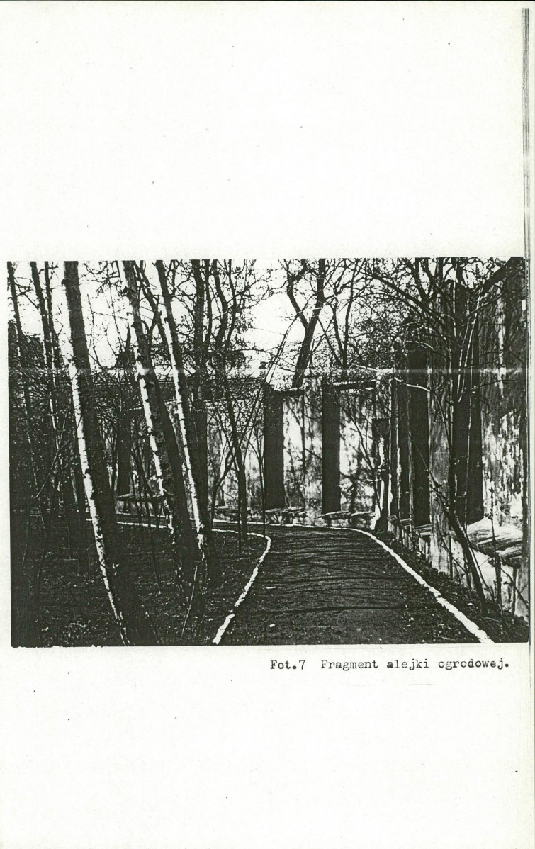 Ewidencja parkowa, skan nr 50