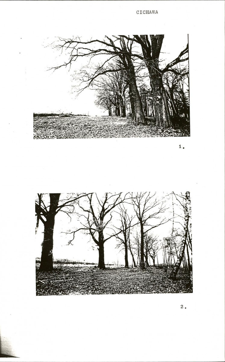 Ewidencja parkowa, skan nr 10
