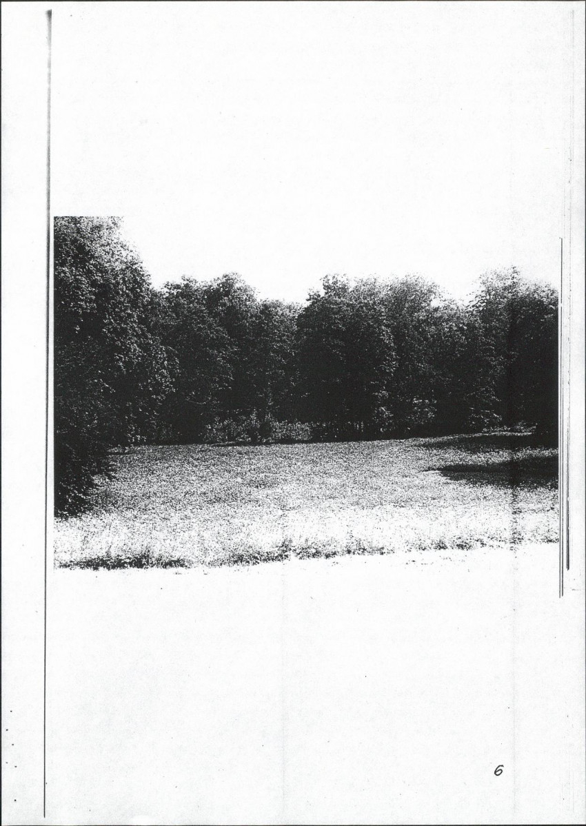 Ewidencja parkowa, skan nr 51