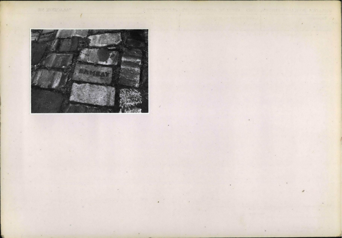 KB - Karta biała, skan nr 6