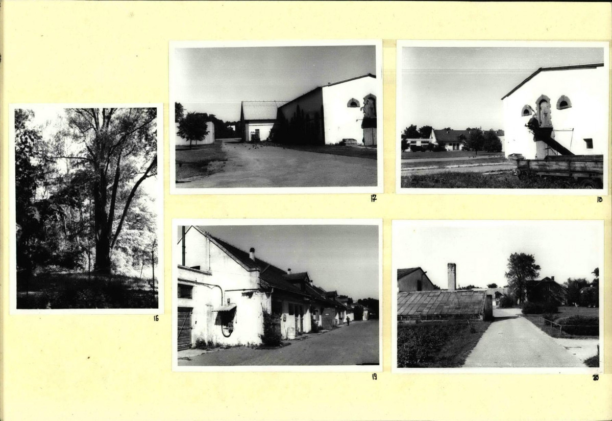 Karta biała, skan nr 10