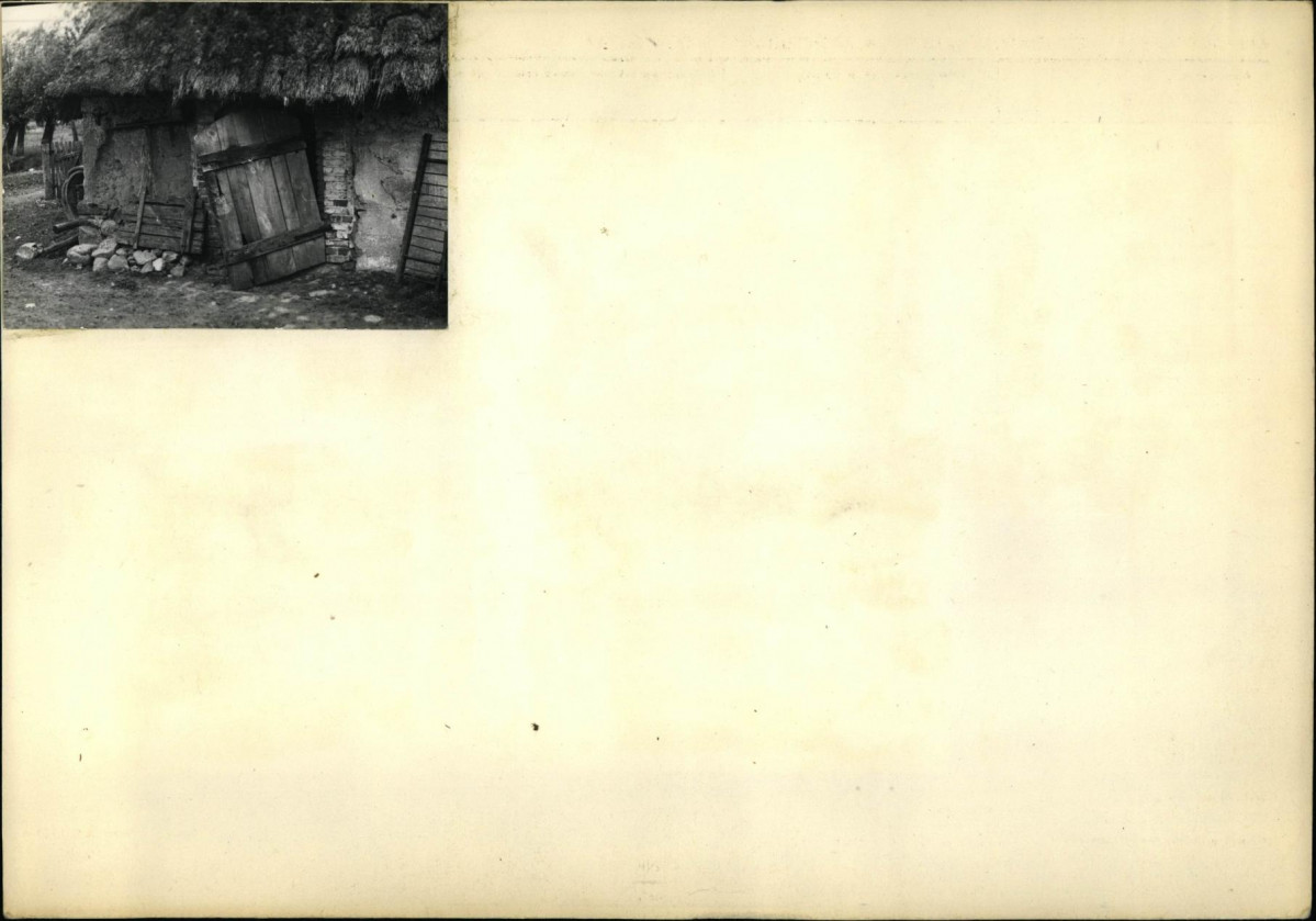 Karta biała, skan nr 6