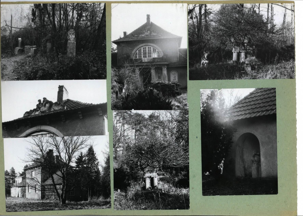 Karta zielona, skan nr 3