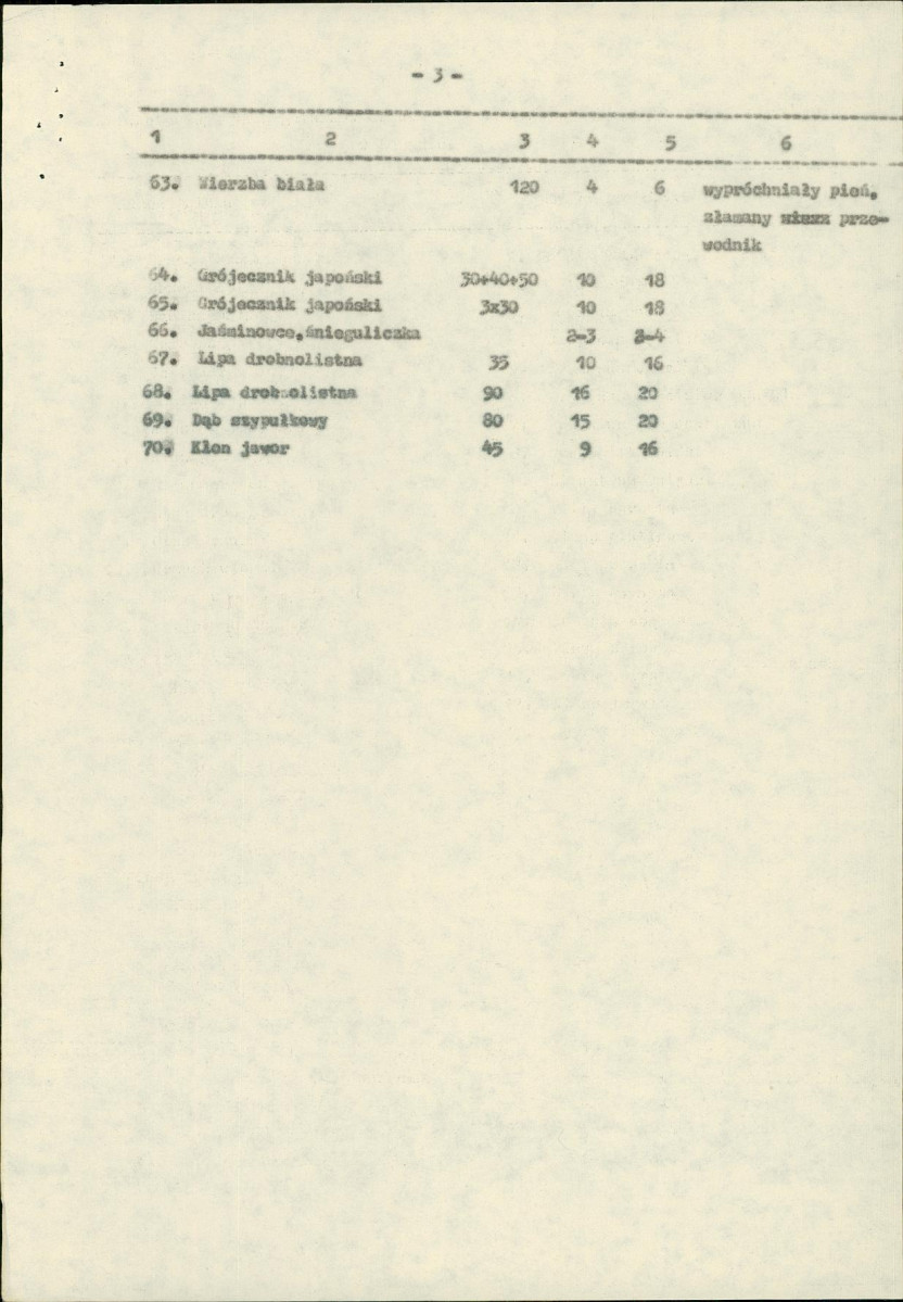 Ewidencja parkowa, skan nr 6