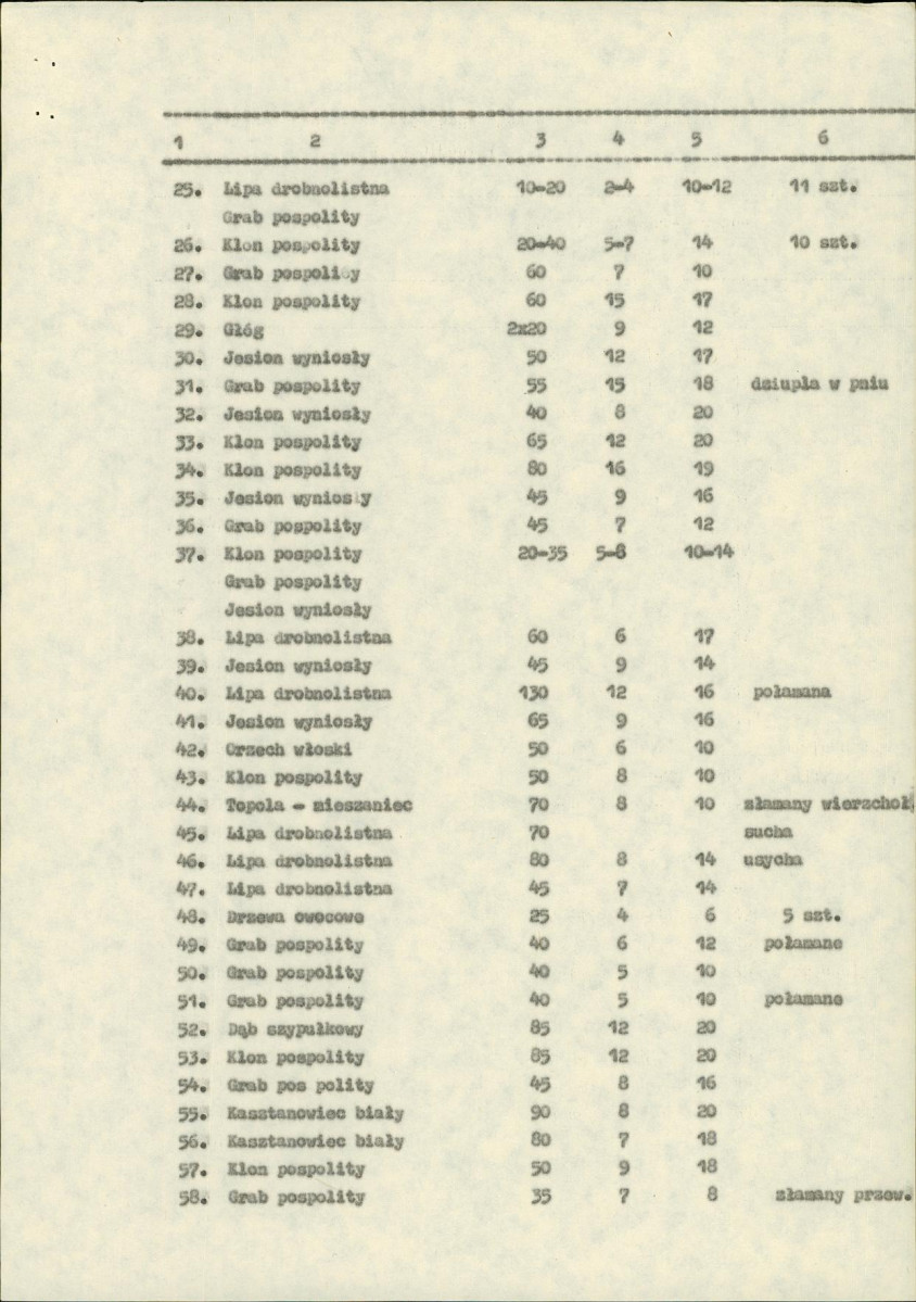 Ewidencja parkowa, skan nr 5