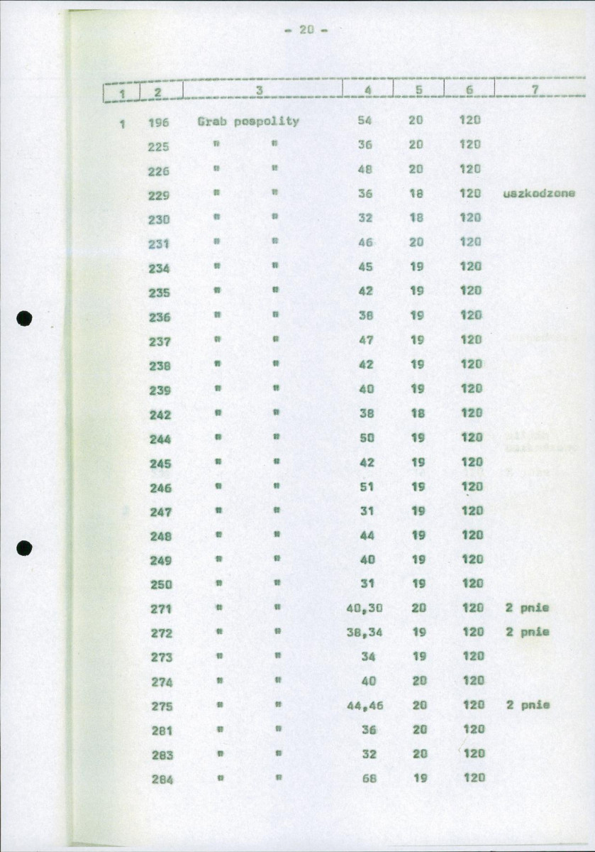 Ewidencja parkowa, skan nr 27