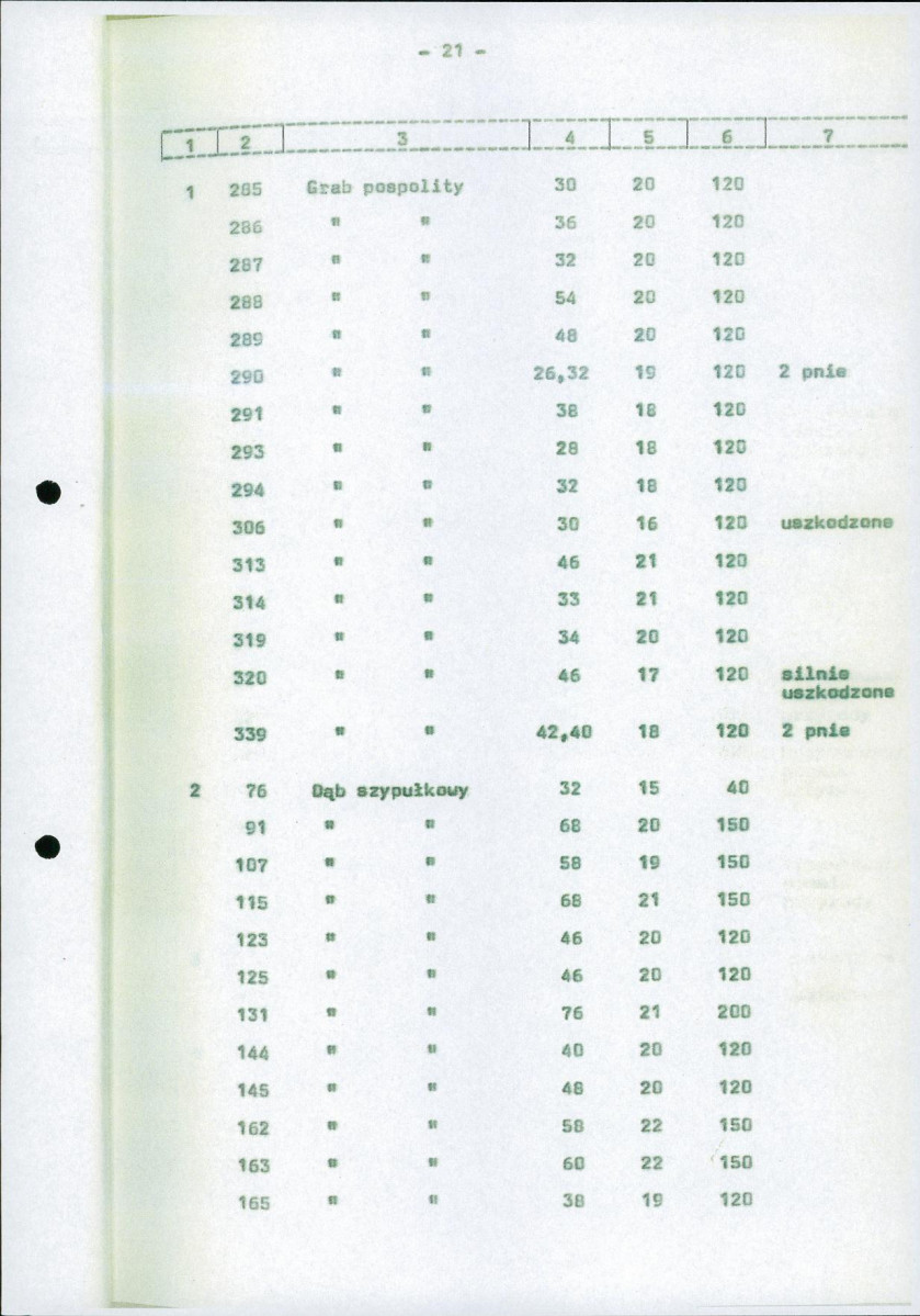 Ewidencja parkowa, skan nr 28