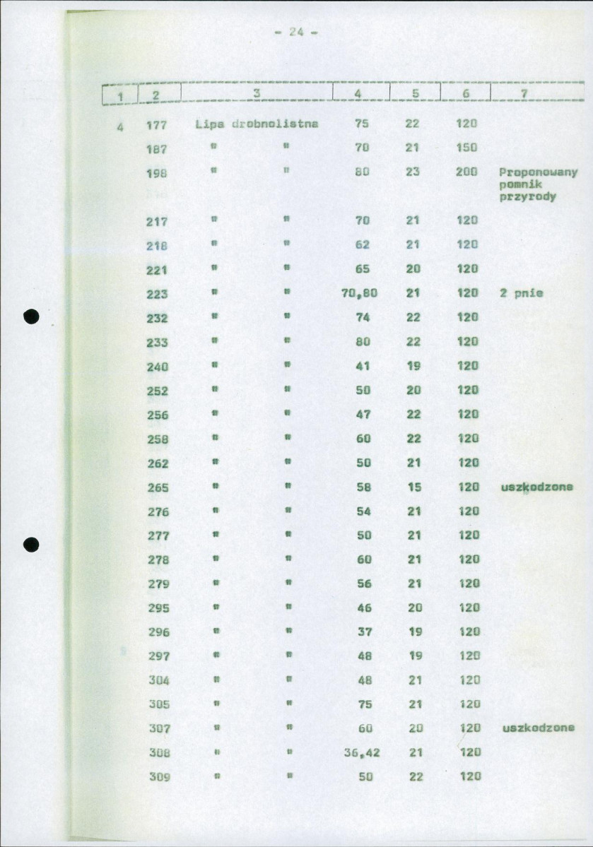 Ewidencja parkowa, skan nr 31