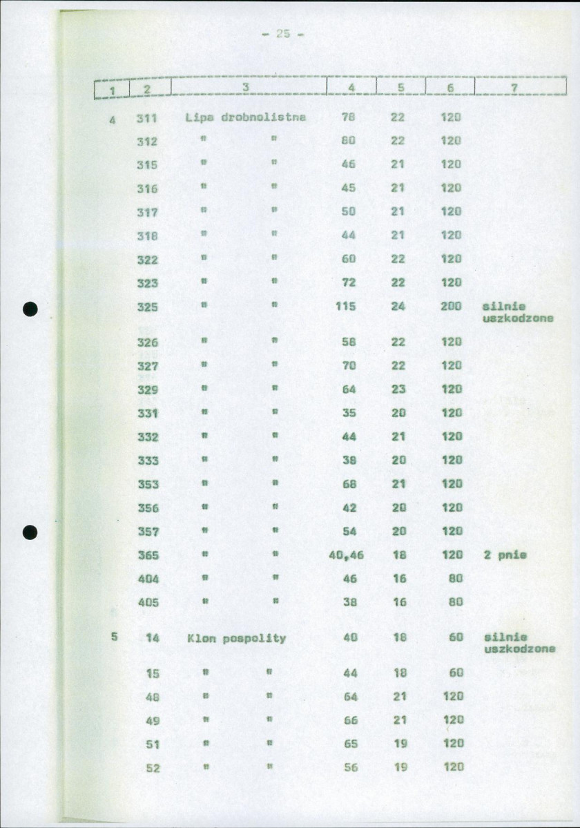 Ewidencja parkowa, skan nr 32