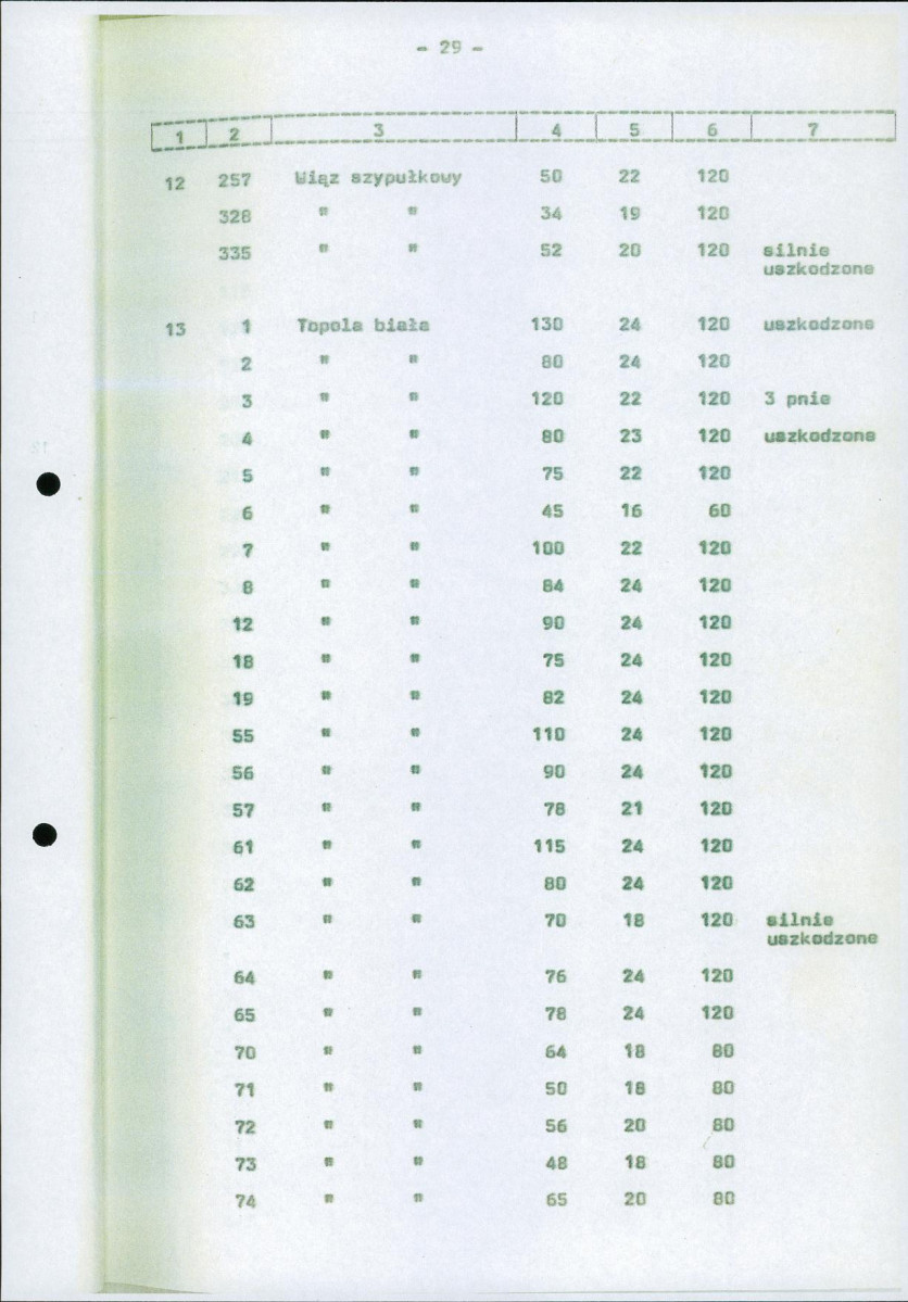 Ewidencja parkowa, skan nr 36