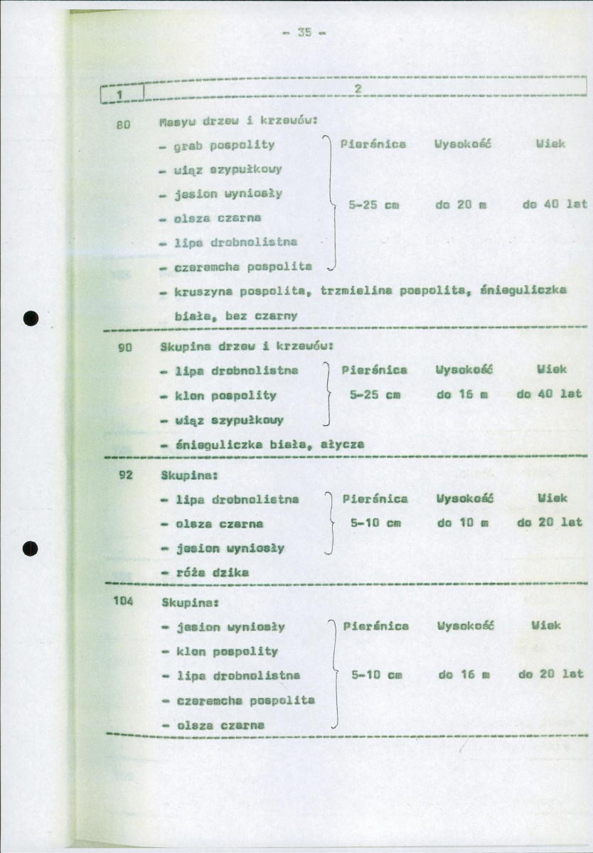 Ewidencja parkowa, skan nr 42