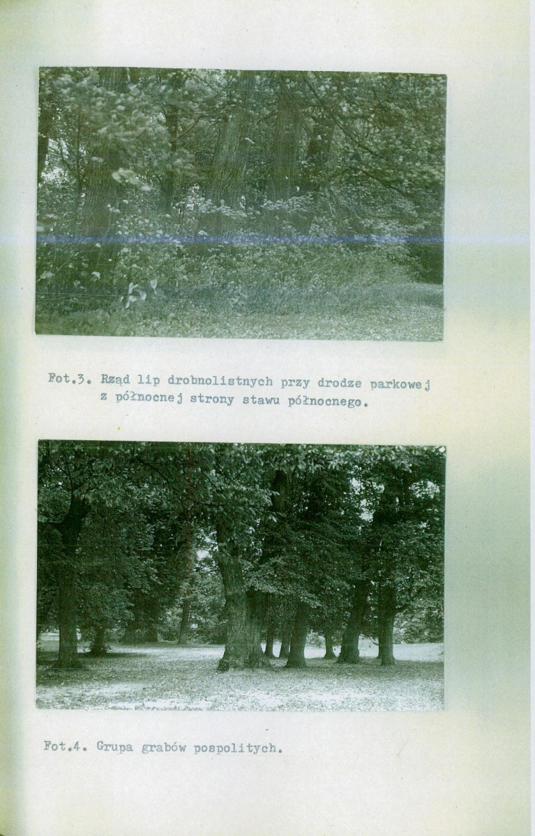 Ewidencja parkowa, skan nr 54
