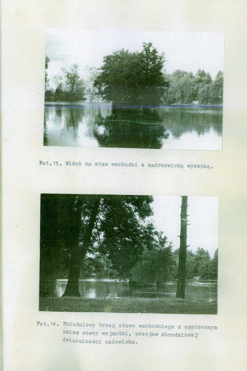 Ewidencja parkowa, skan nr 59