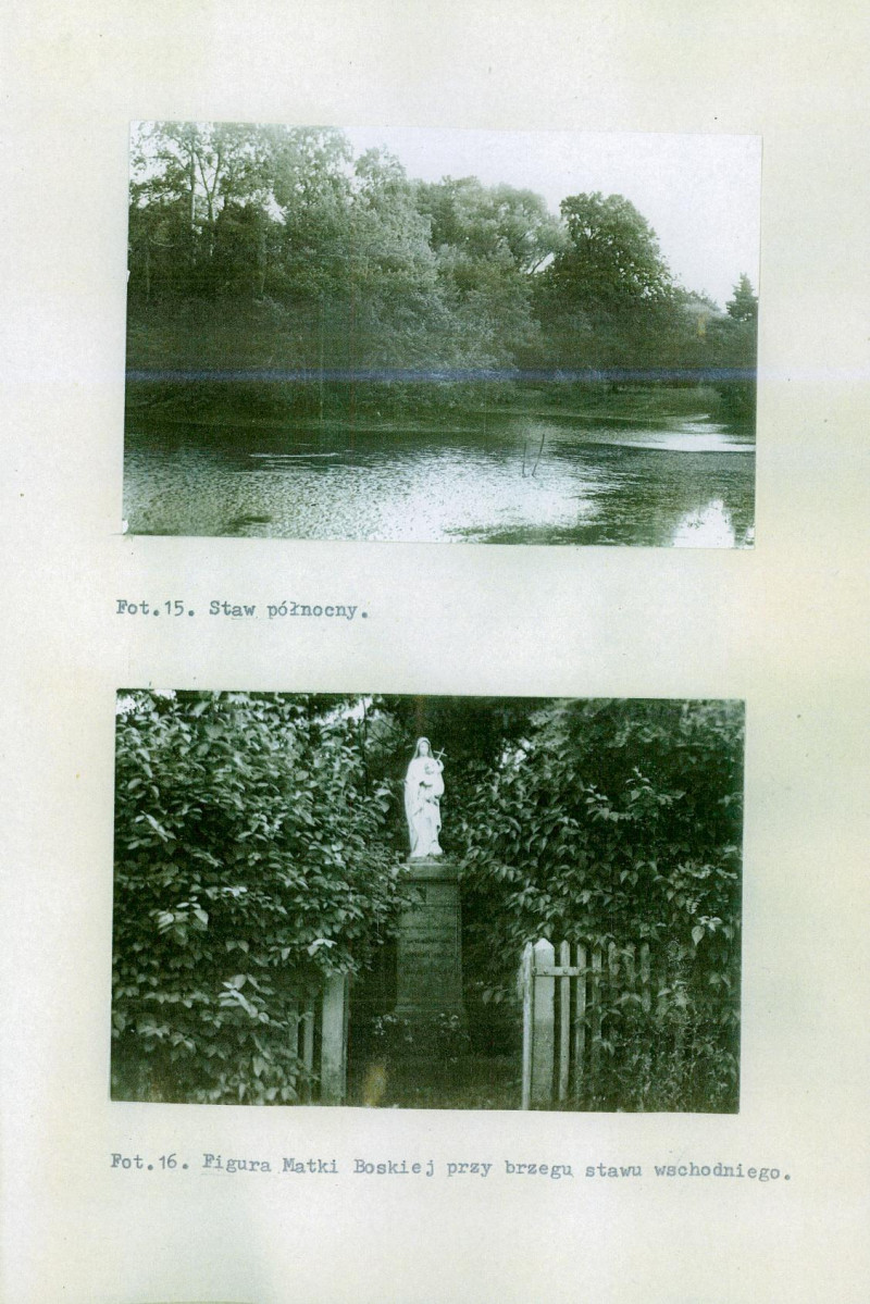 Ewidencja parkowa, skan nr 60