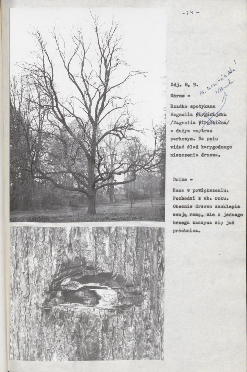 EP - Ewidencja parkowa, skan nr 30