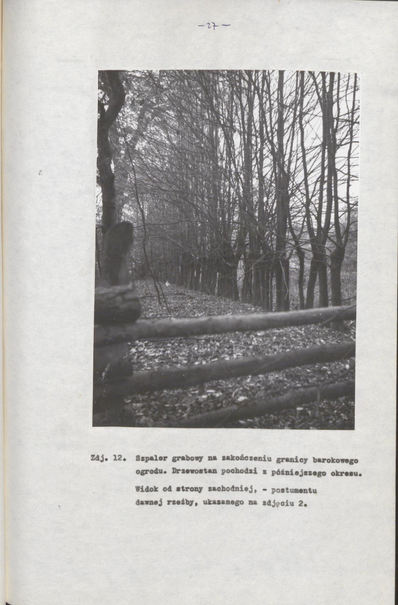 EP - Ewidencja parkowa, skan nr 33