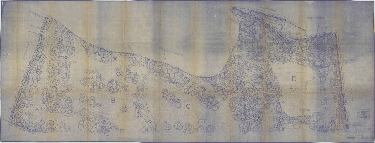 EP - Ewidencja parkowa, skan nr 80