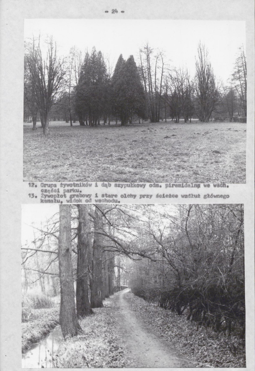 EP - Ewidencja parkowa, skan nr 30