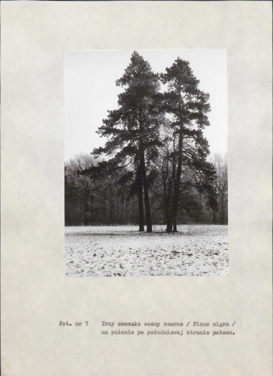 Ewidencja parkowa, skan nr 54