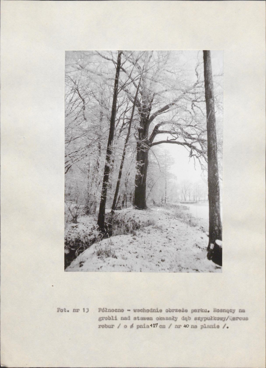 Ewidencja parkowa, skan nr 60