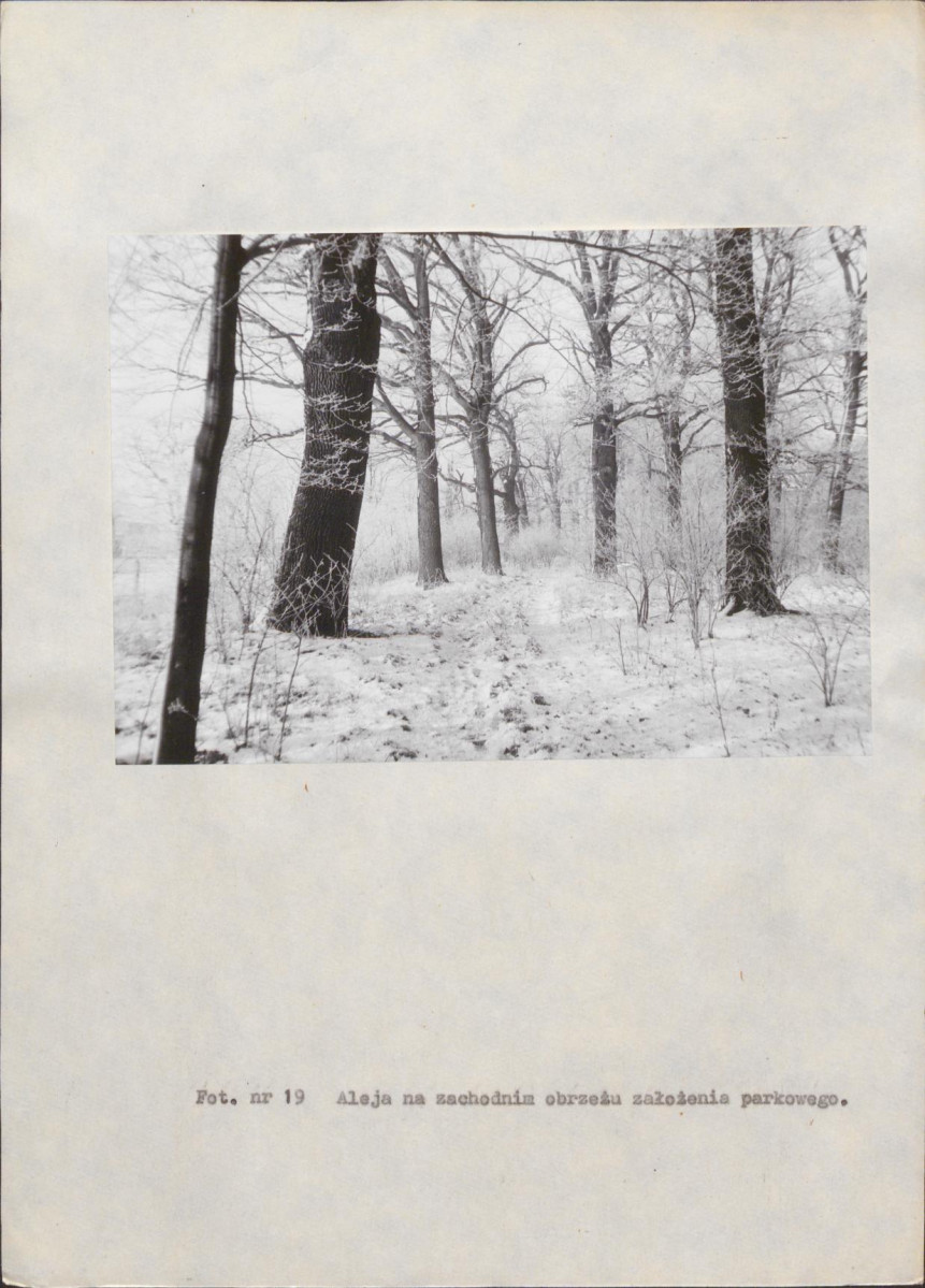 Ewidencja parkowa, skan nr 66